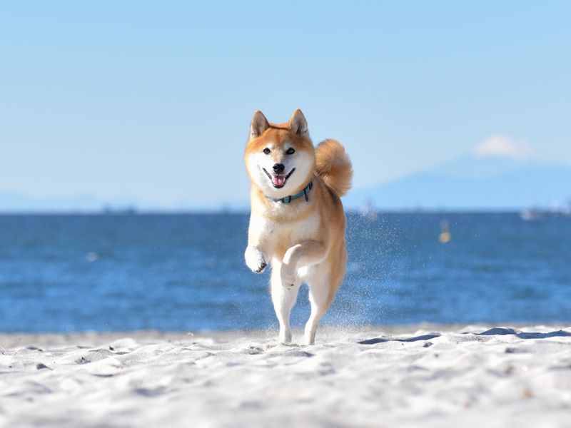 ごあいさつ